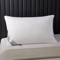 Single piece Anti Allergic 1Kg Filling Pillows 50X75  White
