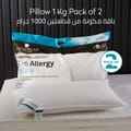 2 Pieces Hotel Striped Pillow ,100% Cotton shell ,Double Edge Stitched , Premium Gel Fiber 1 Kg Filling each 50x75 , Soft Loft