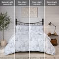 Printed Comforter Set 4-Pcs Queen Size Lightweight All Season Double Bed Bedding Set With Down Alternative Filling,White Silver