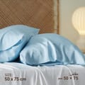 Microfiber Pillowcases 2-Pcs Soft Pillow Cover With Envelope Closure (Without Pillow Insert),Quil Grey