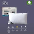 مخدة فندقية مطرزة قطن 2000 جرام مقاس 50×75 سم ابيض (شديدة النعومة)